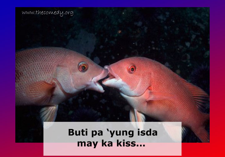 funny single quotes. love quotes tagalog funny.